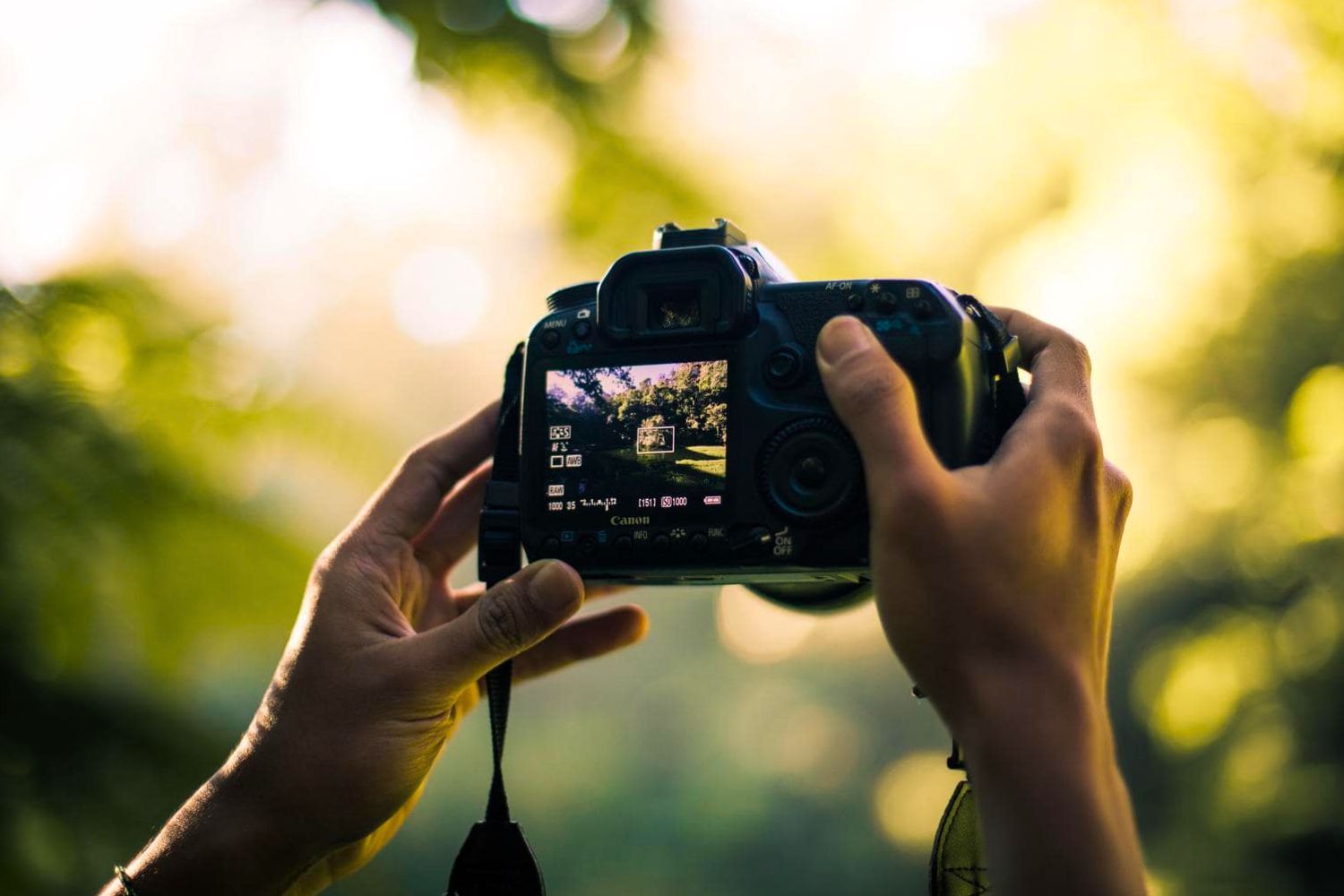 I already have an SLR camera / EVIL: find a target for birds