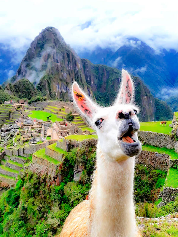 WHAT IS THE PRICE OF THE INCA TRAIL TO MACHU PICCHU