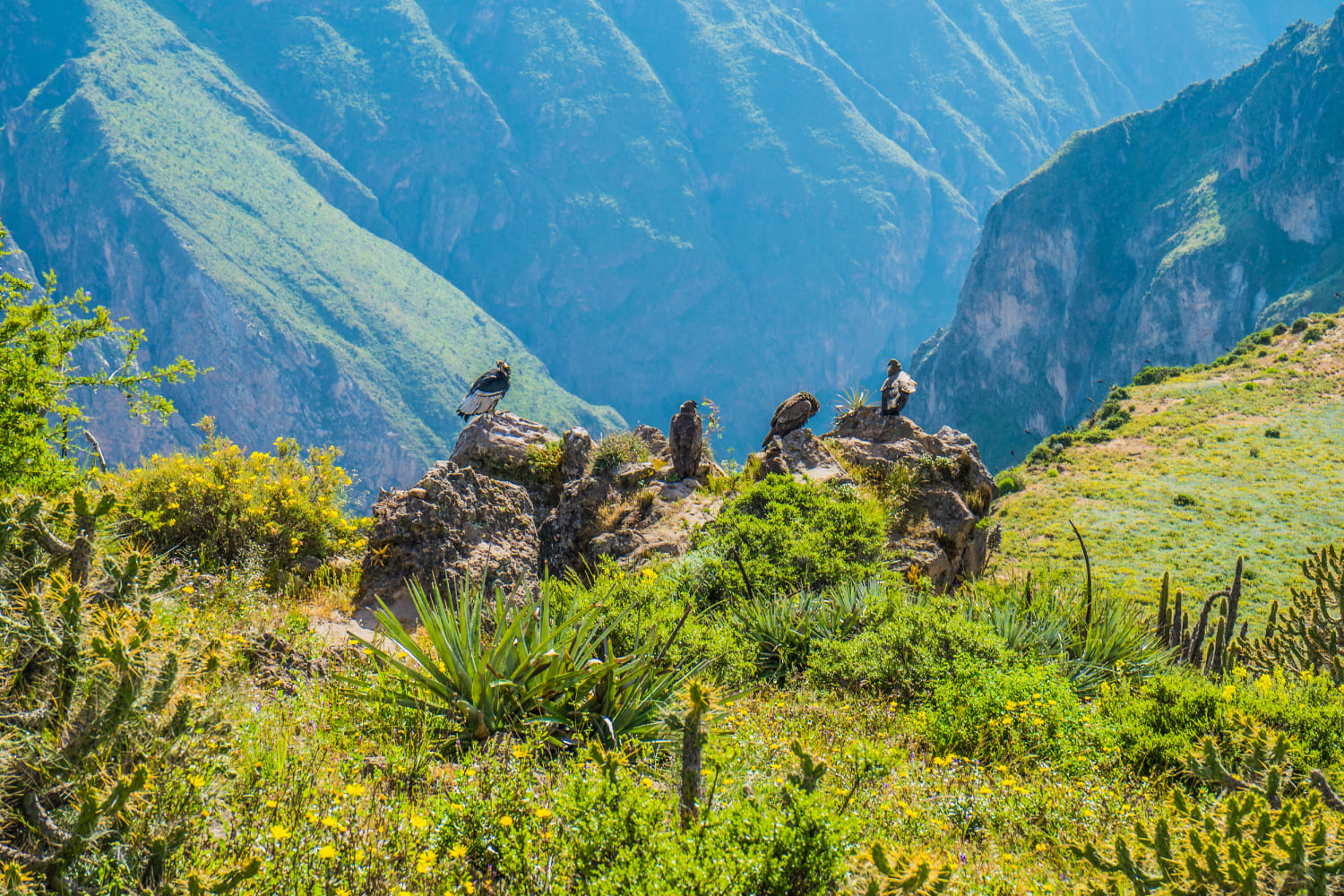  EL MIRADOR DE LA CRUZ DEL CÓNDOR