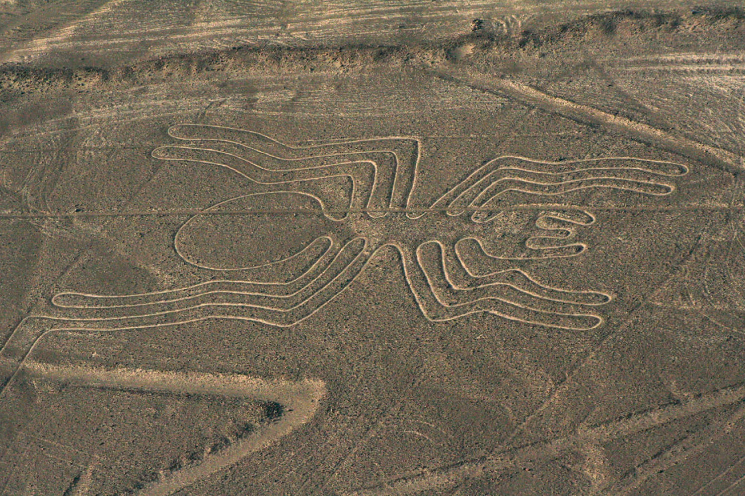 HISTORY OF THE DISCOVERY OF THE NAZCA LINES