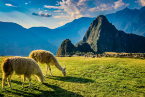 Machu Picchu: Aprueban aumento de aforo y nuevos circuitos 2024