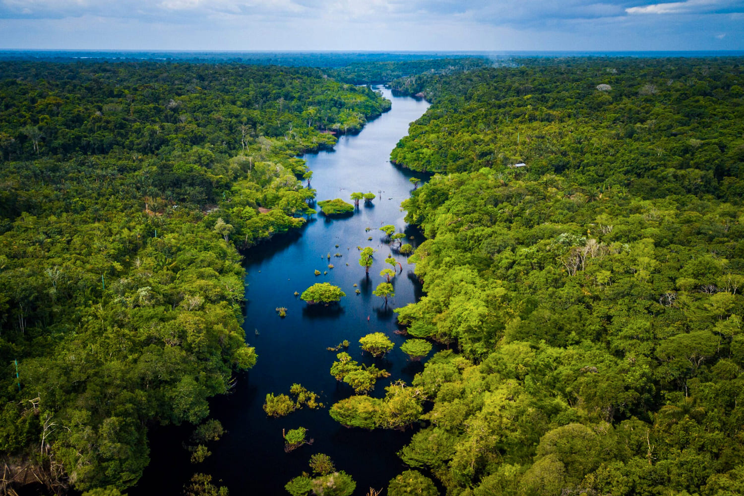 Gründung des Manu Nationalpark