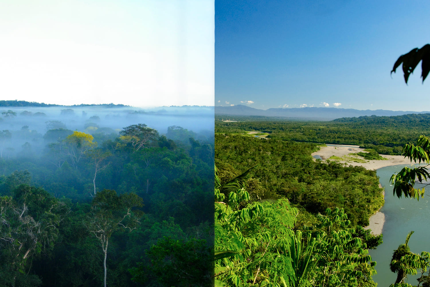 Clima en el parque nacional del Manu