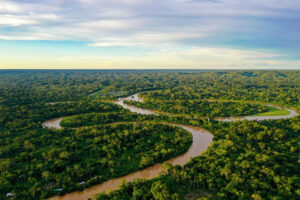 Manu National Park or Iquitos