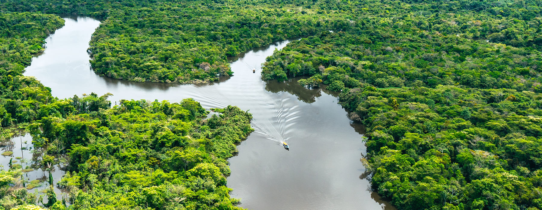 IST DER MANU NATIONALPARK TEIL DES AMAZONAS REGENWALD?