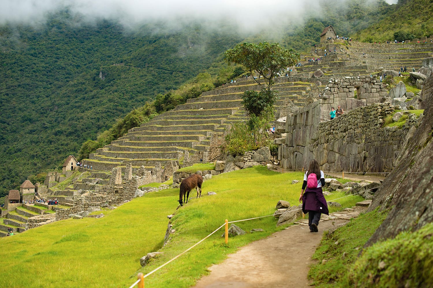 nouveaux circuits au Machu Picchu 2024