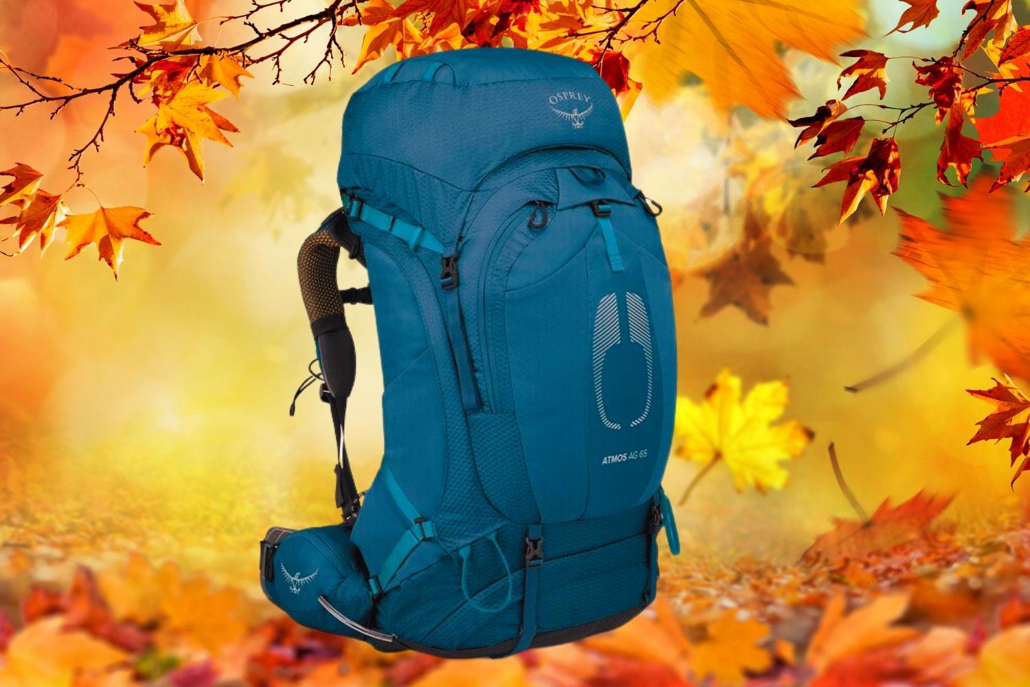 1. BEST OVERALL HIKING BACKPACK: OSPREY ATMOS AG 65