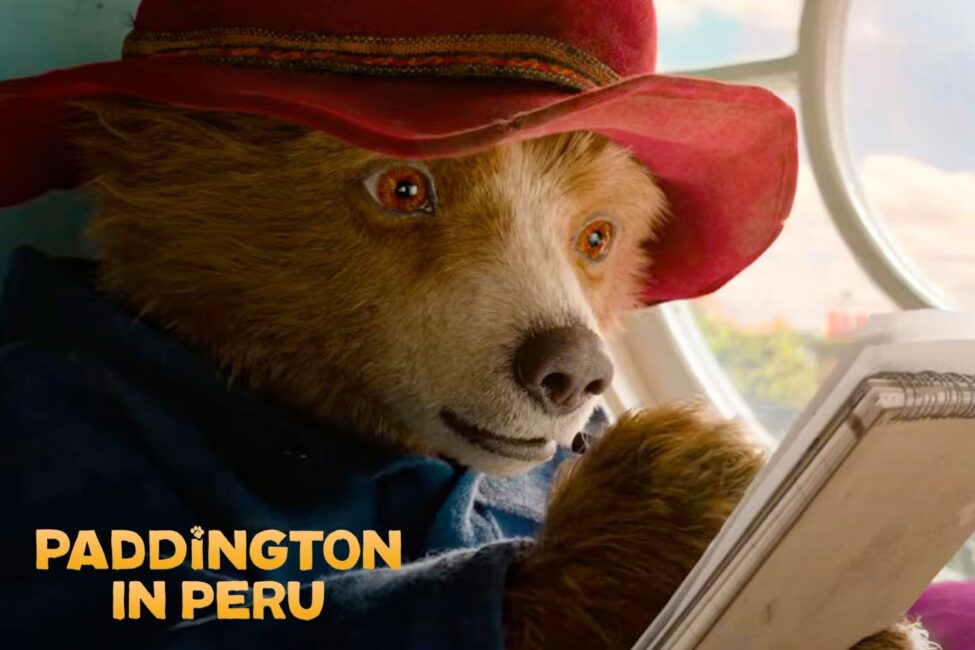 Paddington in Peru: The most famous Peruvian bear in the world