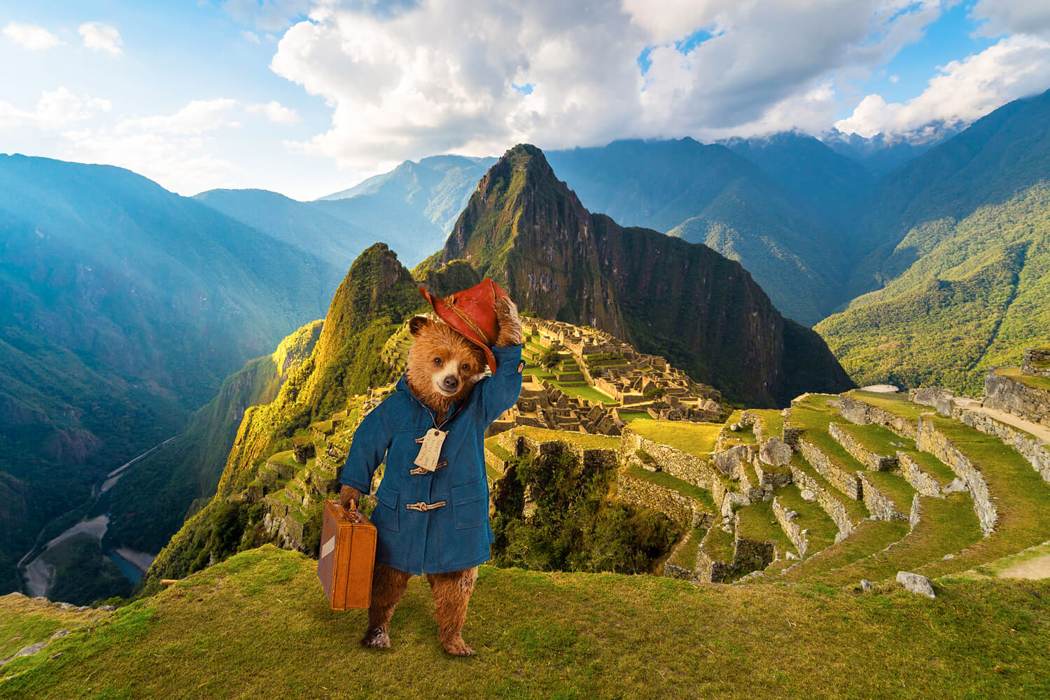 Paddington und seine Ankunft in Peru