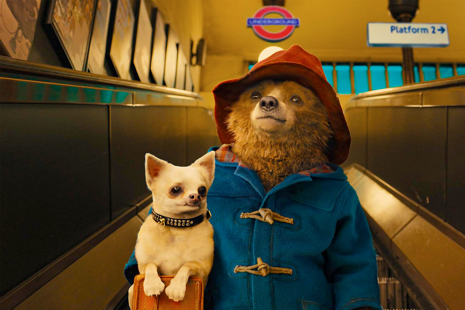 The Paddington movie: a global success