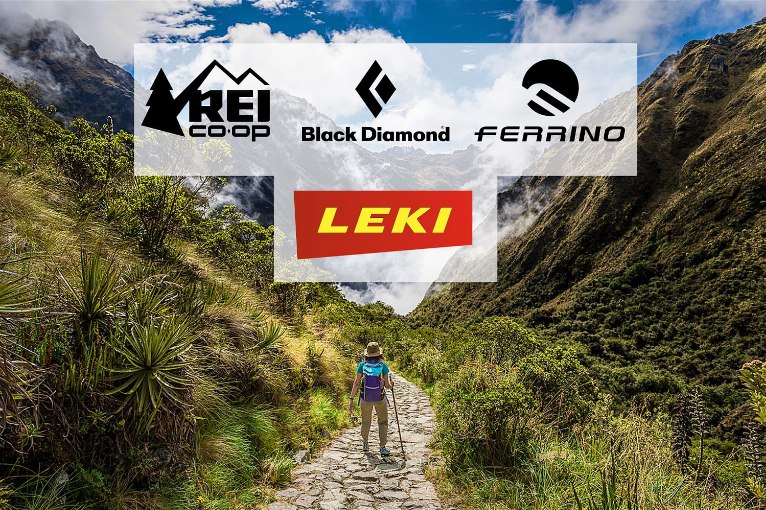 SUGGESTED TREKKING POLES BRANDS