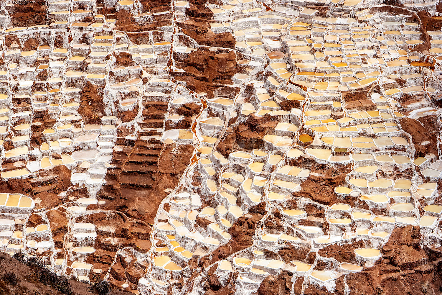 Salt mines of Maras