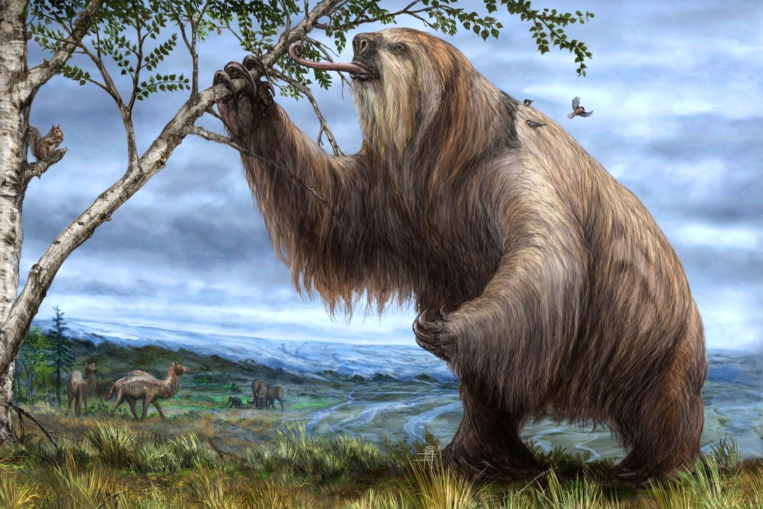 4. There used to be “mega sloths” roaming the Earth.
