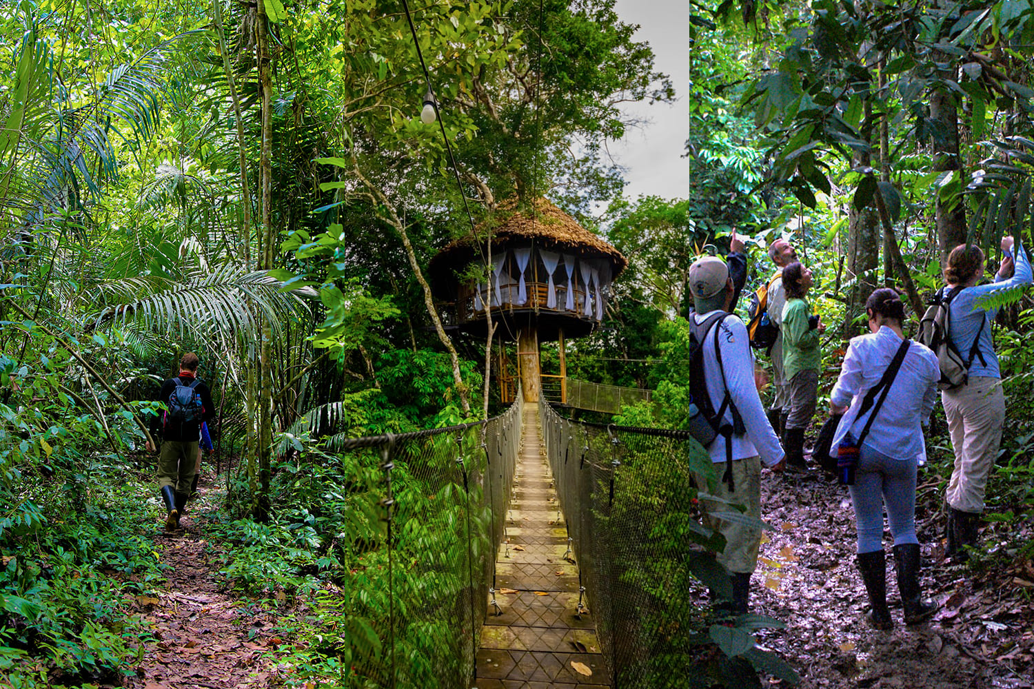 Aktivitäten und Ausflüge auf Amazonas-Flusskreuzfahrten in Peru