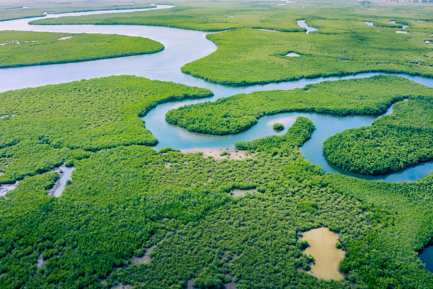 El río Amazonas y sus afluentes