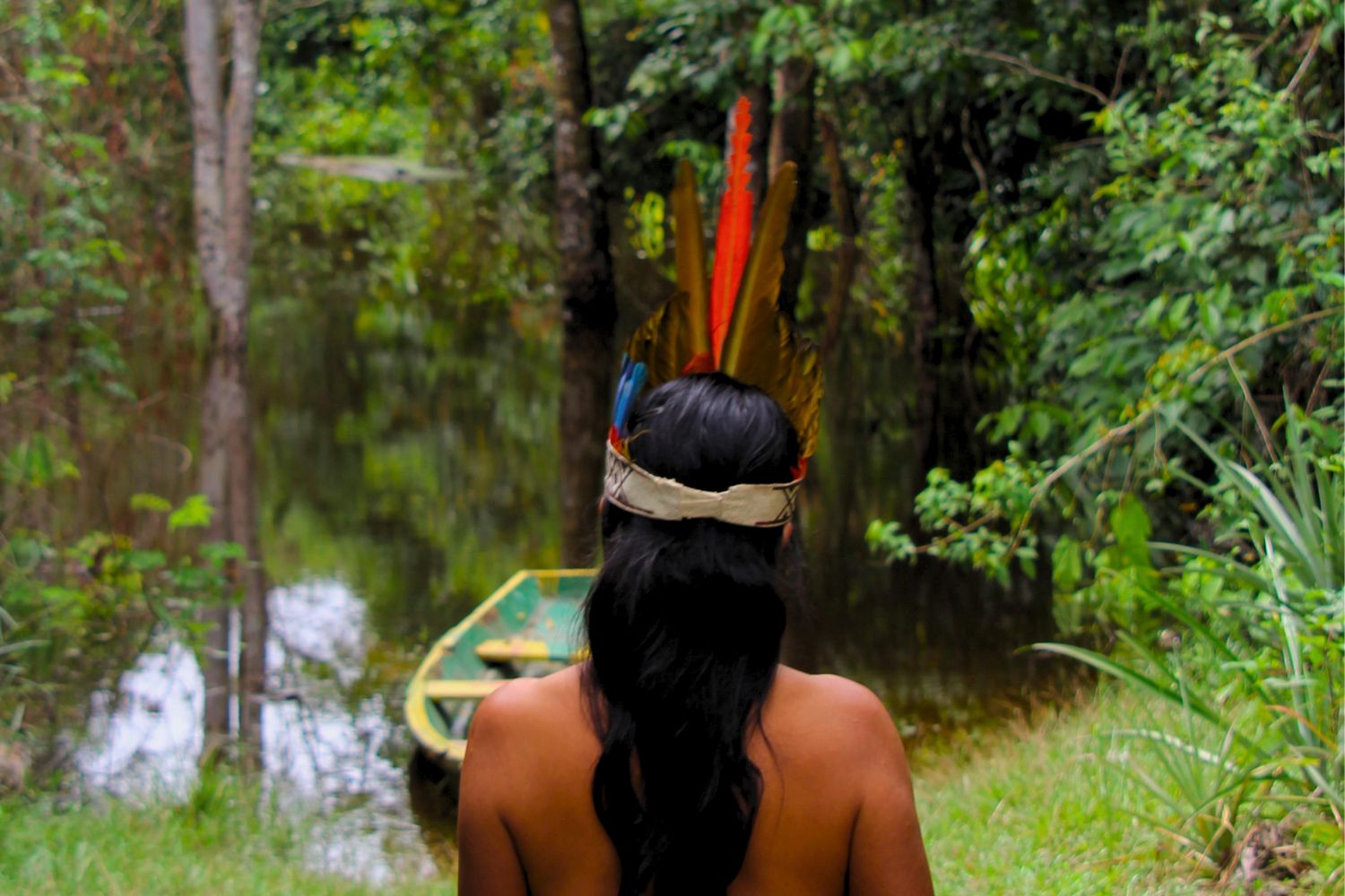 10. Their colorful plumes are used in Amazonian tribal headdresses for many reasons