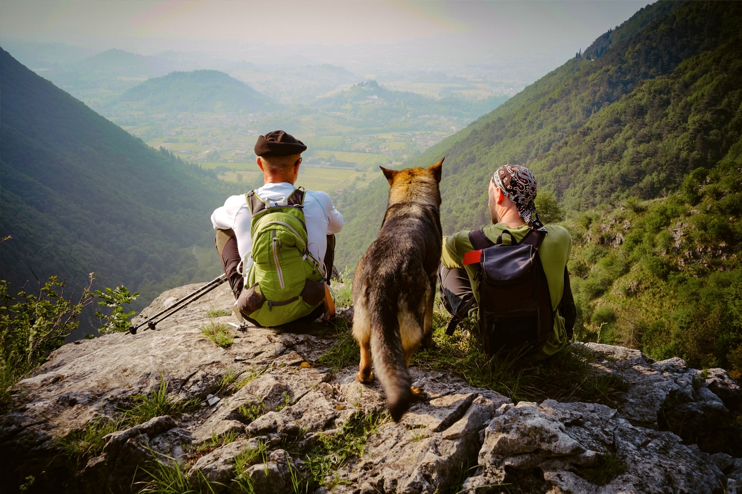 Conseils à suivre lorsque vous voyagez avec votre animal de compagnie