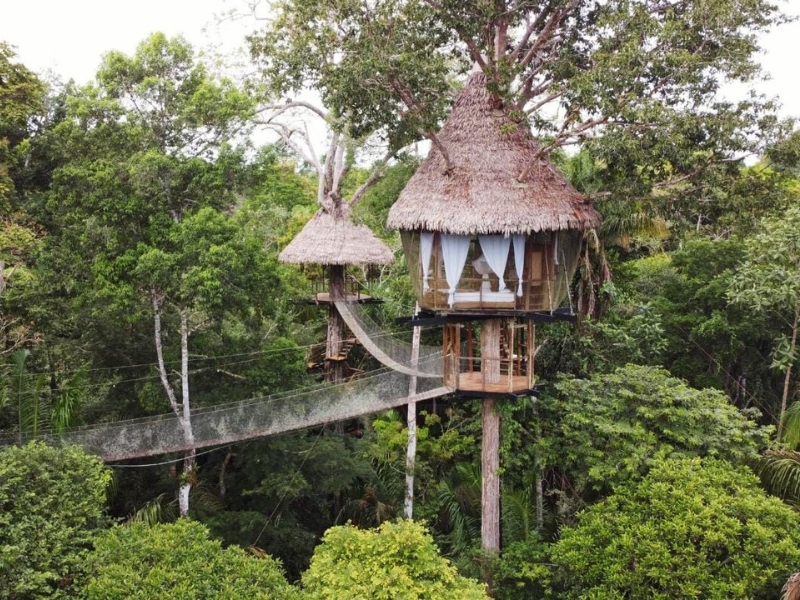 Treehouse Lodge