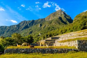 Treks to Machu Picchu