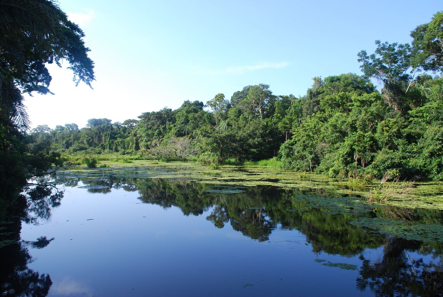 WAS IST IM MANU NATIONAL PARK ZU FINDEN?