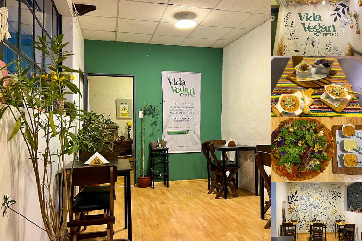 Vida Vegan Bistro