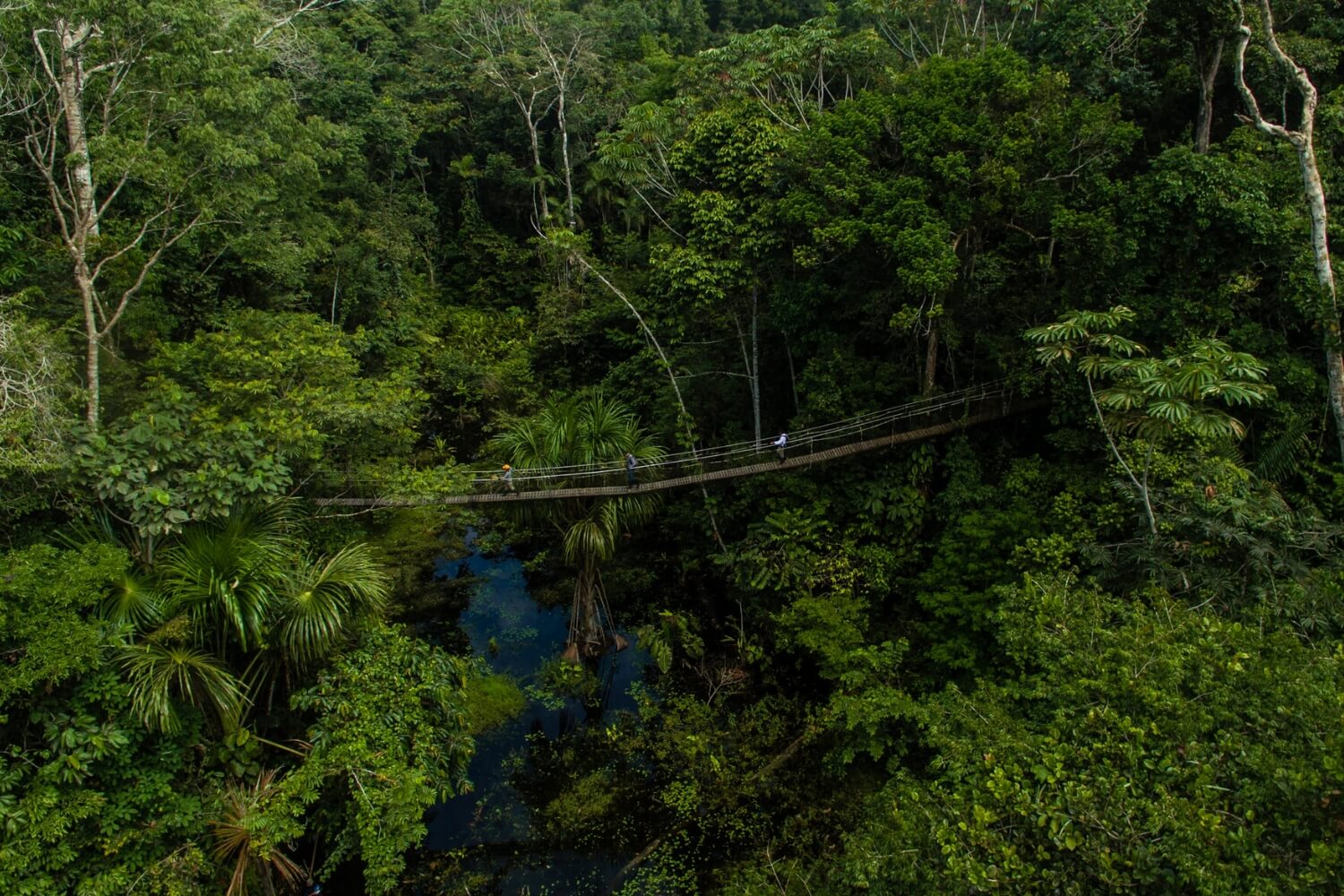 THE AMAZON RAINFOREST COVERS AN ENORMOUS 6.7 MILLION SQUARE KILOMETRES