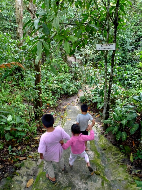 VISITING THE AMAZON RAINFOREST WITH KIDS