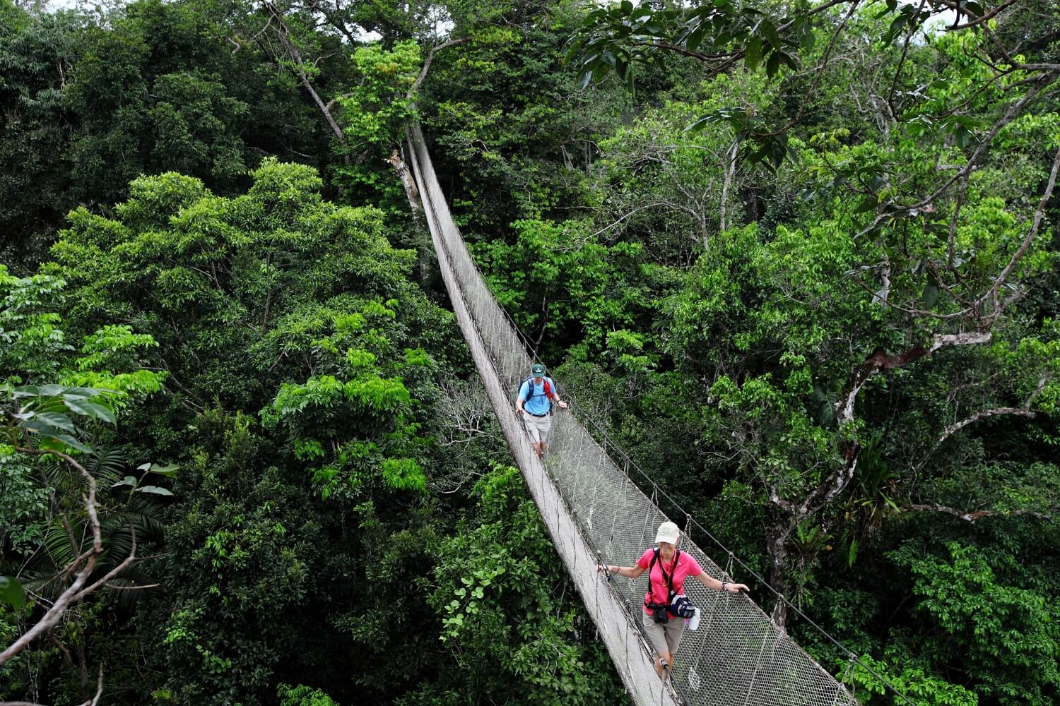 CÓMO ORGANIZAR UN VIAJE A LA SELVA AMAZÓNICA