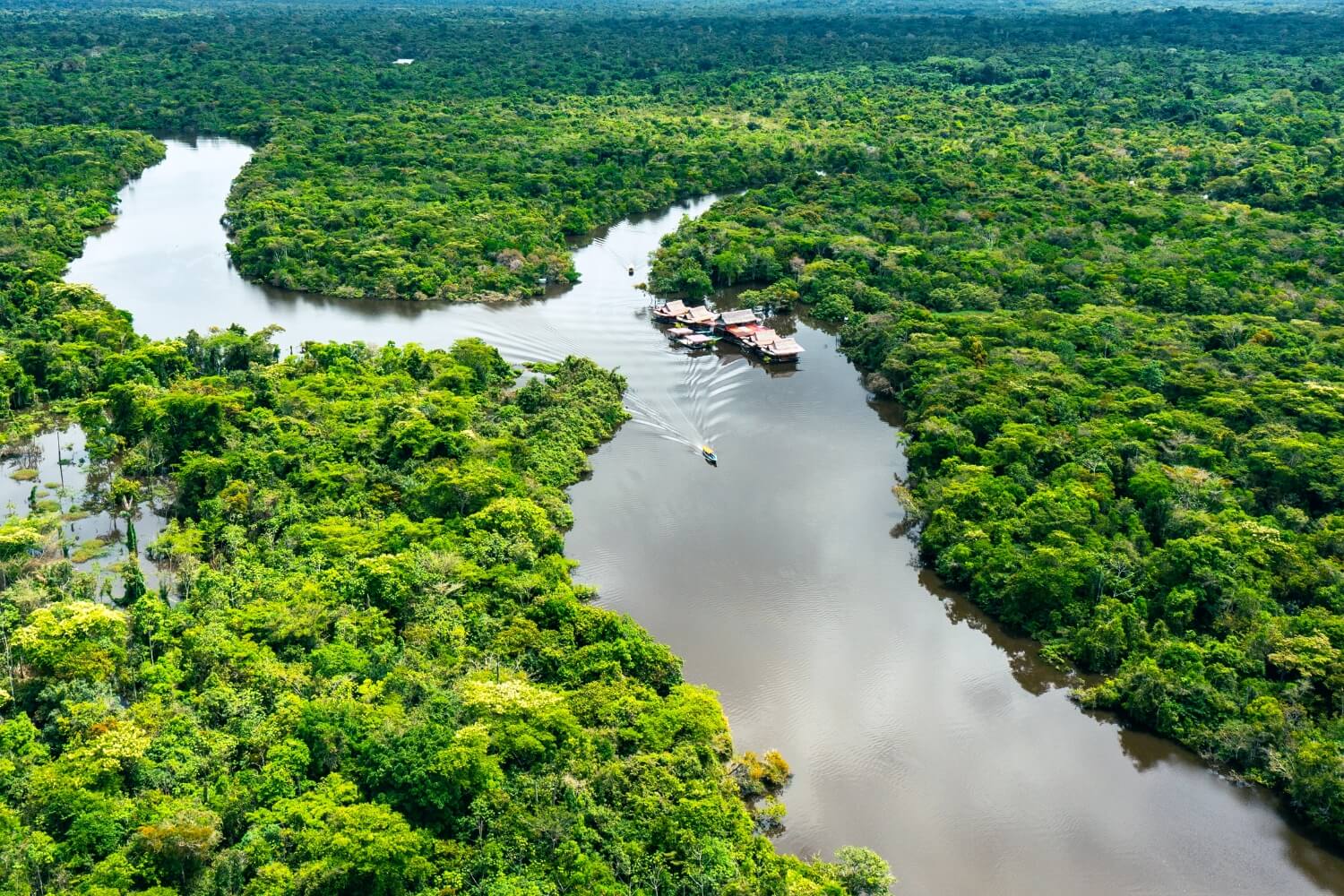 Amazon River: One of the most visited tourist places in the jungle