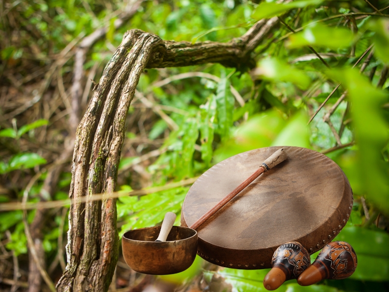 Uso tradicional de la planta ayahuasca