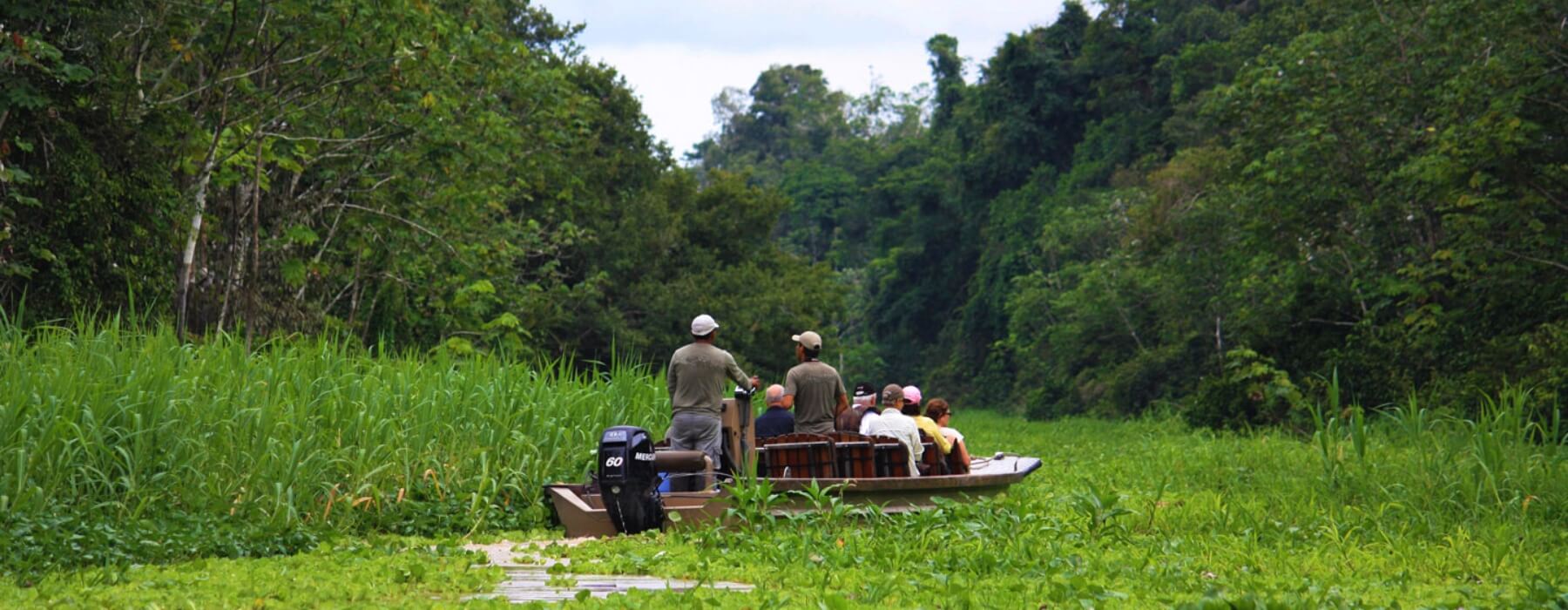 WHICH IS THE BEST AMAZON JUNGLE REGION TO VISIT IN PERU