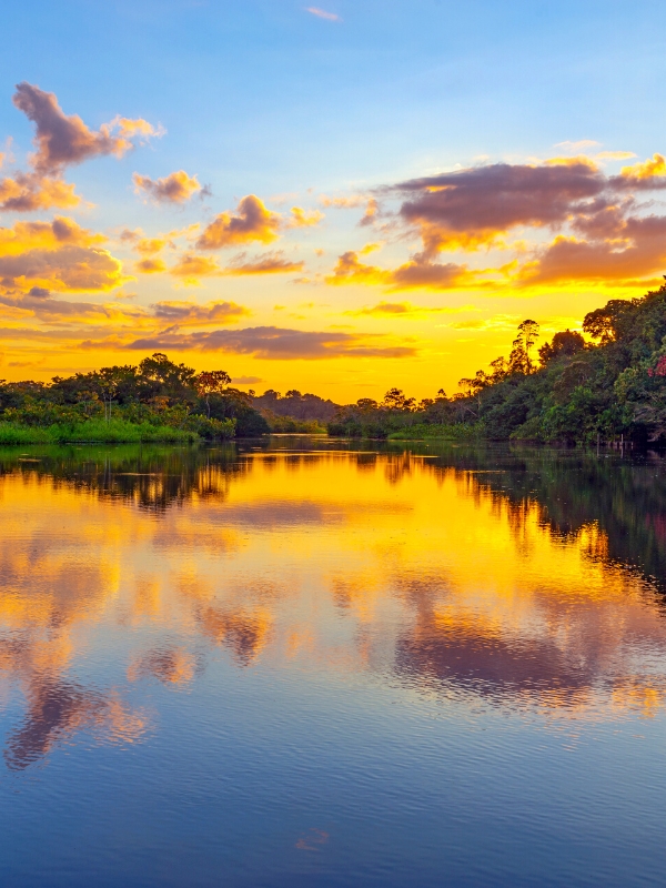 WHEN IS THE BEST TIME TO VISIT THE AMAZON RAINFOREST