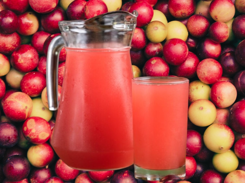 Camu Camu Soda