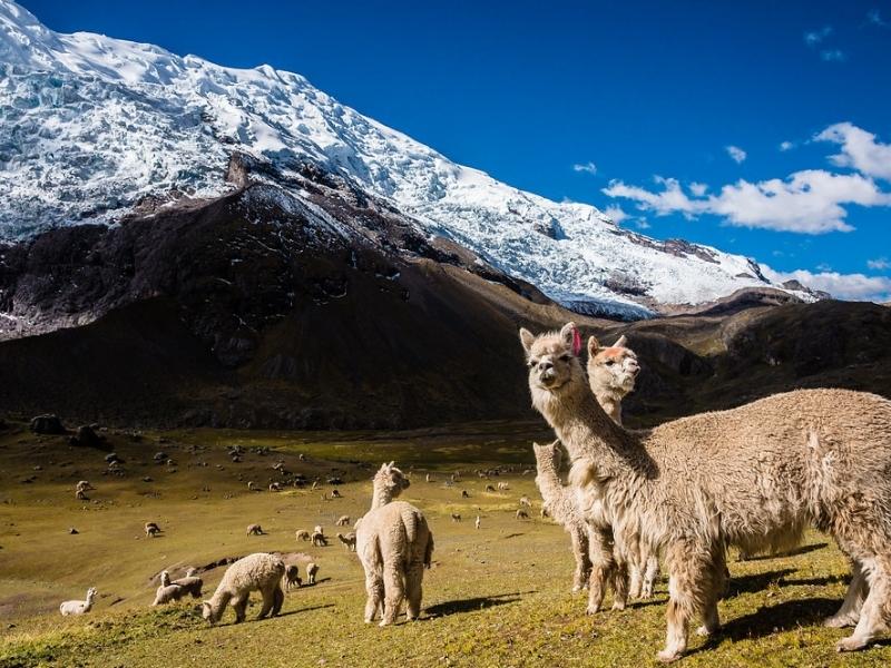 classic ausangate trek by andean great treks