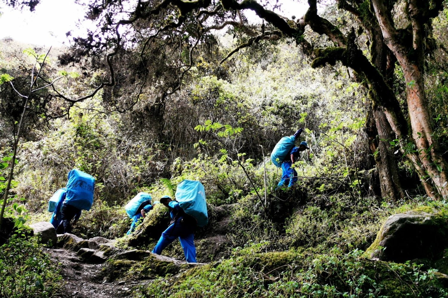 ABOUT THE CROWDS ON THE INCA TRAIL VS SALKANTAY TREK