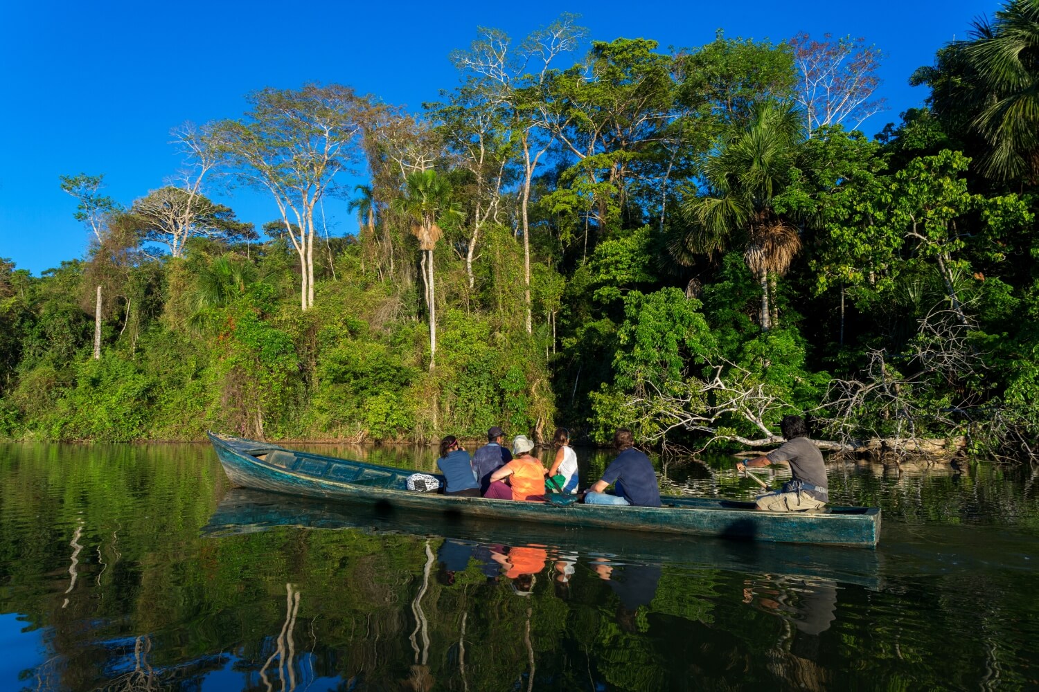Why explore the Peruvian Amazon Jungle on your Vacation