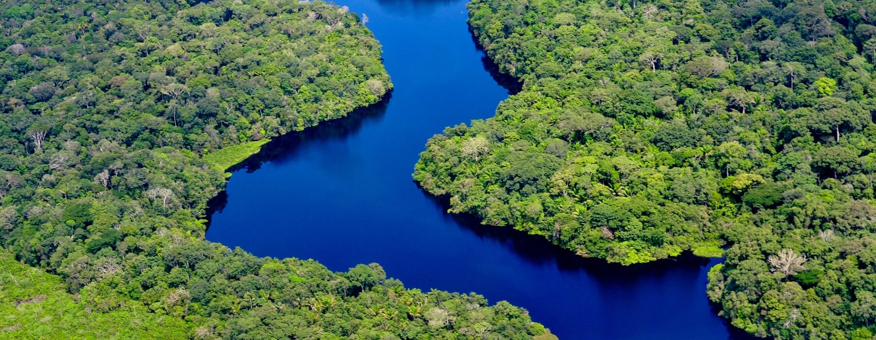 THE MOST AMAZING FACTS ABOUT THE AMAZON RAINFOREST