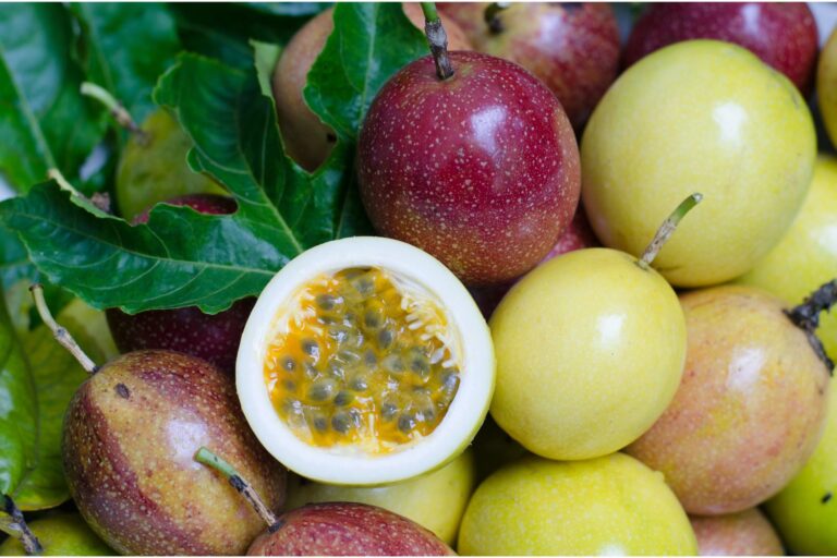 The 10 best fruits of the Amazon Rainforest