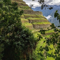 recommendations of Beste Weg nach Machu Picchu