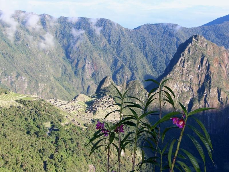 inca trail express from lima by andean great treks