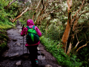 inca trail express to machu picchu 3 days by andean great treks