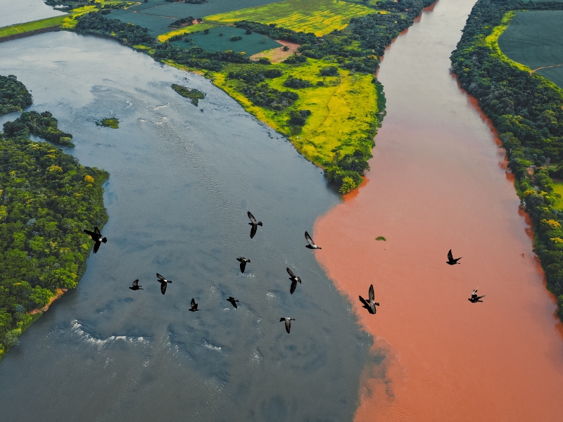  Lima - Iquitos - Monkey Island - Heliconia Lodge