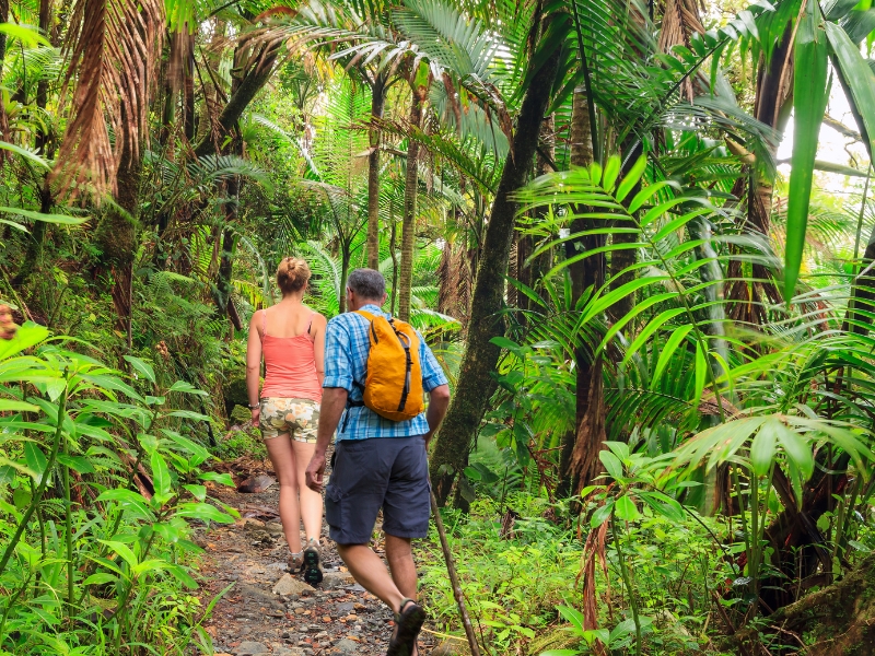 Bird watching – River Fishing  - Night Walk in the Jungle