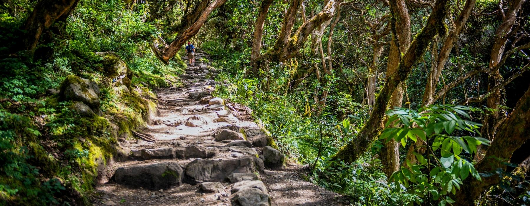 Luxury Inca Trail Hike To Machu Picchu 5 Day-Inca Trail Peru