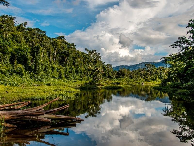 MACAW CLAY LICK OBSERVATION-  AMAZON RAINFOREST WALK