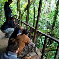 recommendations of Manu Amazonas Regenwald 4 Tage