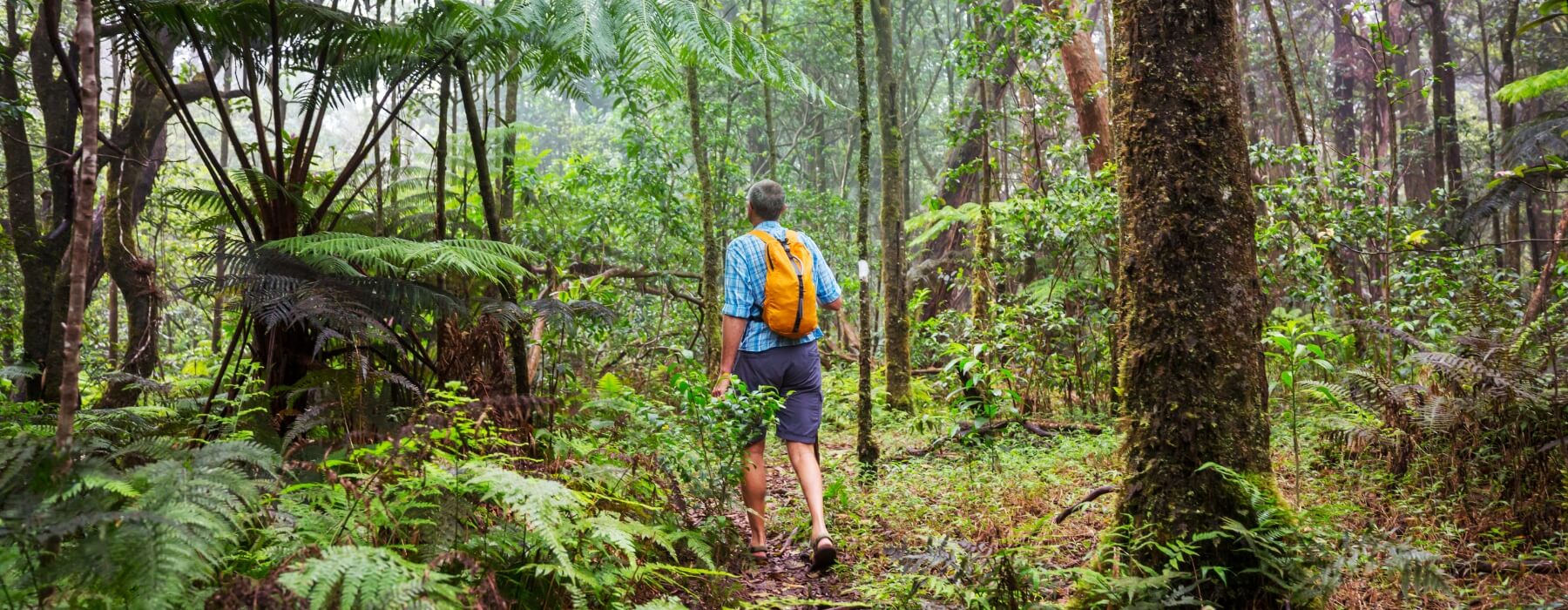 Expediciones a la Selva Parque Nacional