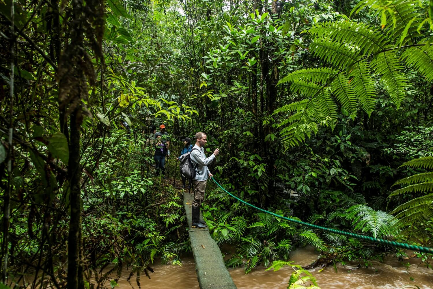 Visiting Brazil's  rainforest