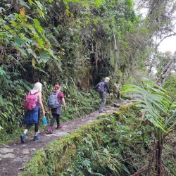 recommendations of Incredible 2D/1N Short Inca Trail & Machu Picchu