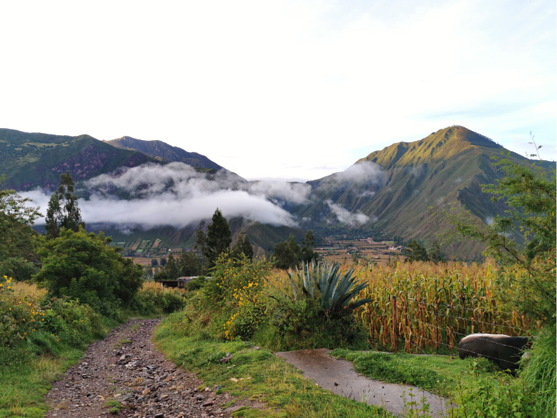 SHORT INCA TRAIL + YANACOCHA LAKE by andean great treks